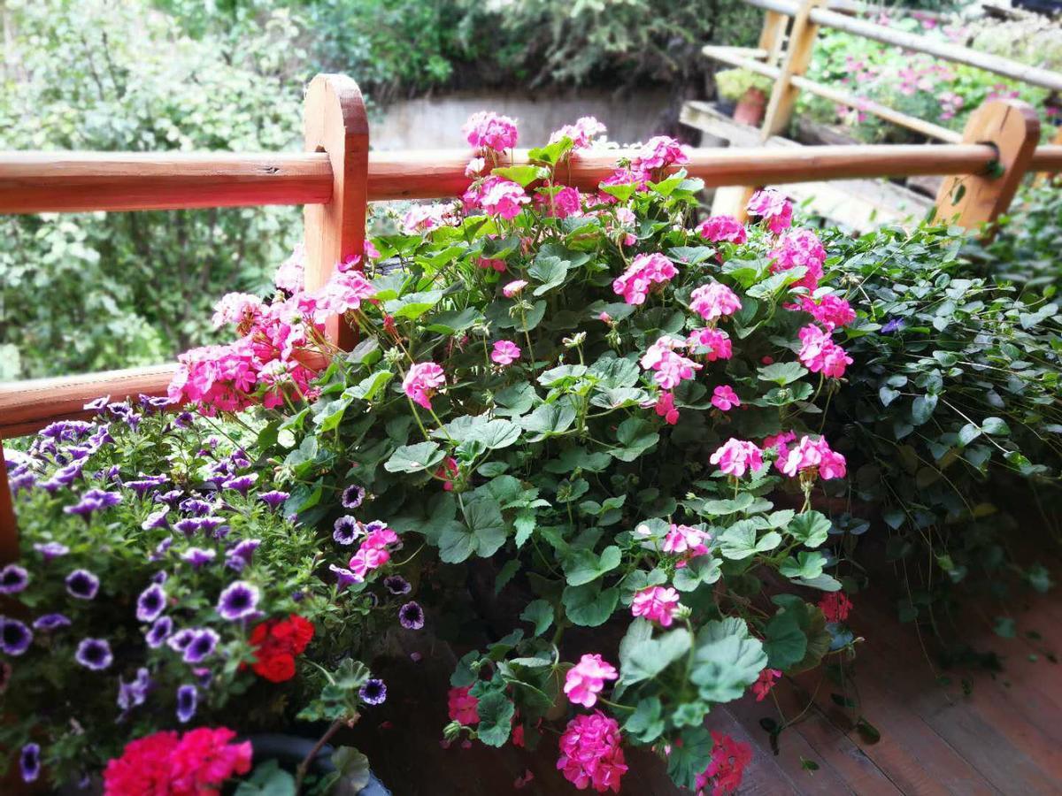 Courtyard Shangri-La 藏舍小院 מראה חיצוני תמונה